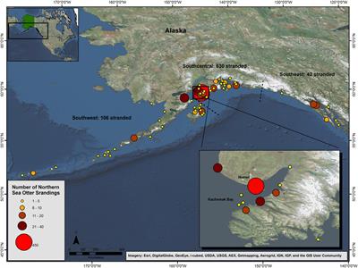 Causes of Mortality of Northern Sea Otters (Enhydra lutris kenyoni) in Alaska From 2002 to 2012